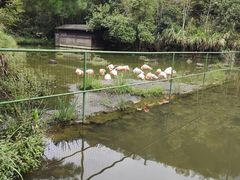 -千岛湖东南湖区