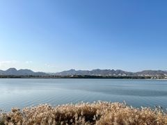 -青龙湖公园