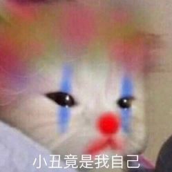 -柚子•猫美睫美甲