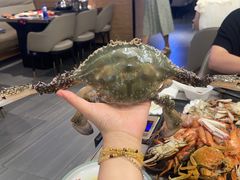 -乔哥铭洋海鲜自助(皇城恒隆广场店)