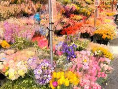 -循礼门鲜花花市(武汉循礼门店)