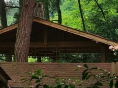 -生态园山庄(森林公园店)