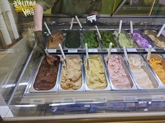 -鹤茶野所(上海首店)
