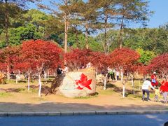 -广州市帽峰山景区