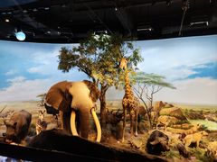 -陕西自然博物馆