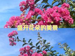 -阳澄湖半岛旅游度假区