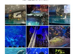 -蚝堡海鲜·威海菜·海肠捞饭·烧烤·亚洲吃蚝公司(幸福门店)
