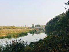 -东郊湿地公园