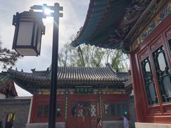 -迎泽公园