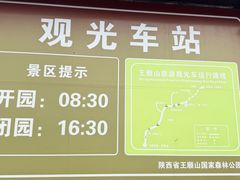 -王顺山国家森林公园
