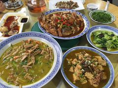 -张鸟园农家乐(张鸟园店)
