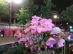 -王府井步行街