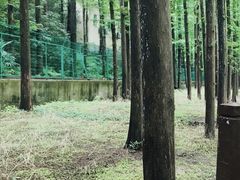 -南京金牛湖风景区