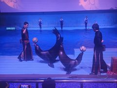 -南昌融创海世界
