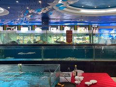 -都市阳光海鲜城(青山湖店)