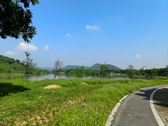 -风云岭森林公园