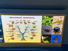 -上海昆虫博物馆