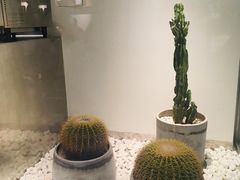 大堂-喜茶(深圳东门1234店)
