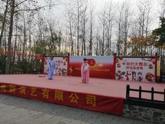 -合肥滨湖国家森林公园