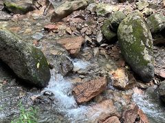 -本溪汤沟绿石谷森林公园