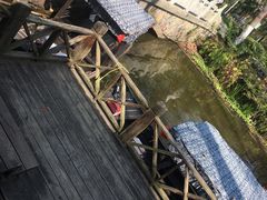 -合肥滨湖国家森林公园