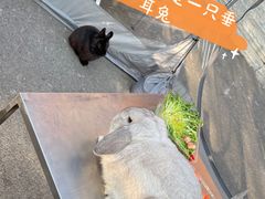 -趣小咖(溪悦荟店)