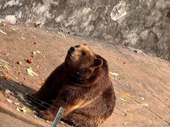 -无锡动物园·太湖欢乐园