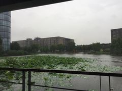 -3W咖啡(国家软件园店)