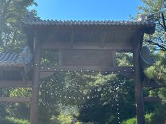 -阳台山自然风景区