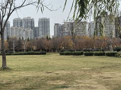 -咸阳湖景区-古渡公园