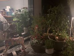 -恬阿姨庭院餐厅·生日宴