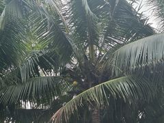 -深圳湾公园(南山区)