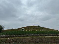 -恋山坝上草原