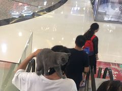 -万达茂商场(南京仙林店)