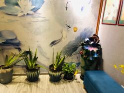 -御品•瑶浴灸疗SPA