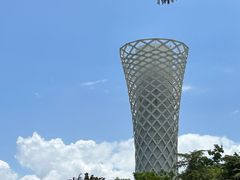-上海滨江森林公园
