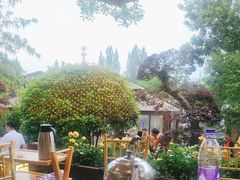 -玛歌庄园火锅(五龙山·熊猫基地店)