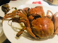 螃蟹-加餐海鲜自助(宝龙一城店)