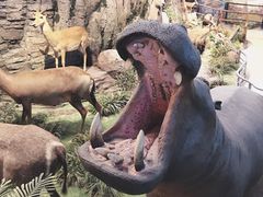 -陕西自然博物馆