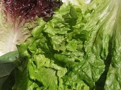 -老牌坊云南鱼豆花火锅(爱建店)
