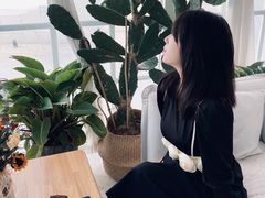 -锦鲤·咖啡(辰熙大厦店)