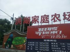 -洪湖家庭农场·团建·露营·会议