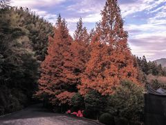 -井冈山风景名胜区