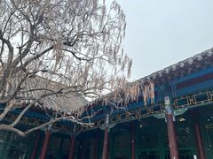 -张学良旧居陈列馆