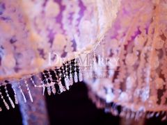 DSC_8719-2-上海明天广场JW万豪酒店