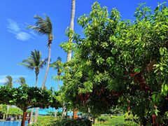 -三亚亚龙湾天域度假酒店