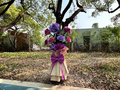 -昆山城市生态森林公园