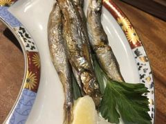 -森味薪火烧•烧鸟居酒屋•日本料理(望京店)