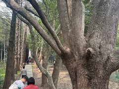 -同里国家湿地公园