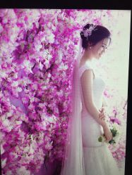 点击看大图 -太郎花子婚纱摄影艺术中心